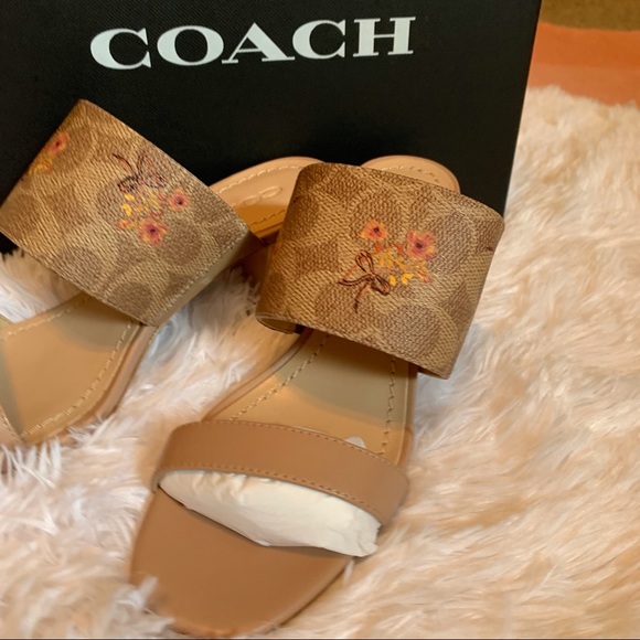 Coach Mae Mule Sig Pra Heel - Picture 5 of 16